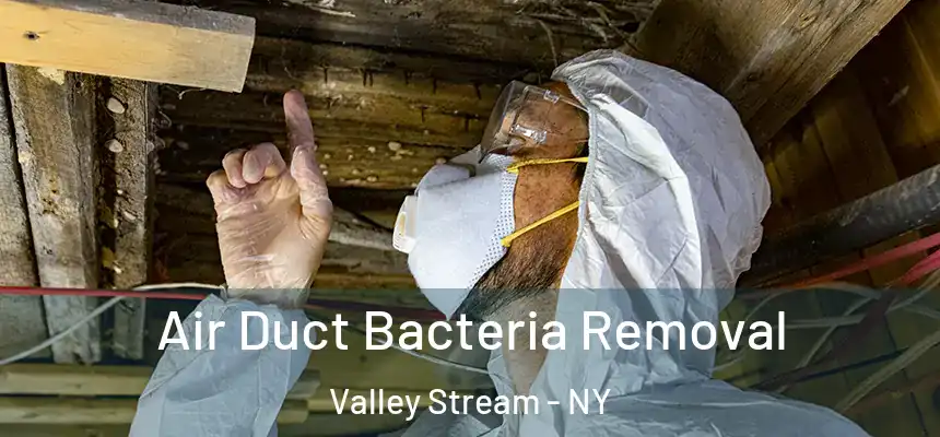  Air Duct Bacteria Removal Valley Stream - NY