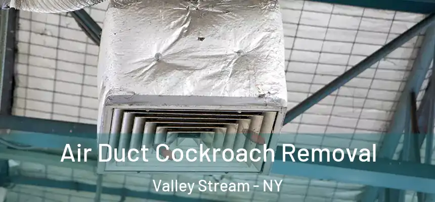  Air Duct Cockroach Removal Valley Stream - NY