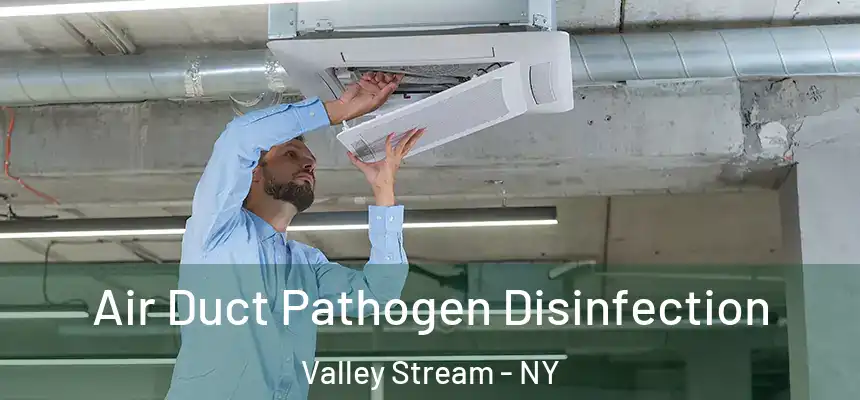  Air Duct Pathogen Disinfection Valley Stream - NY