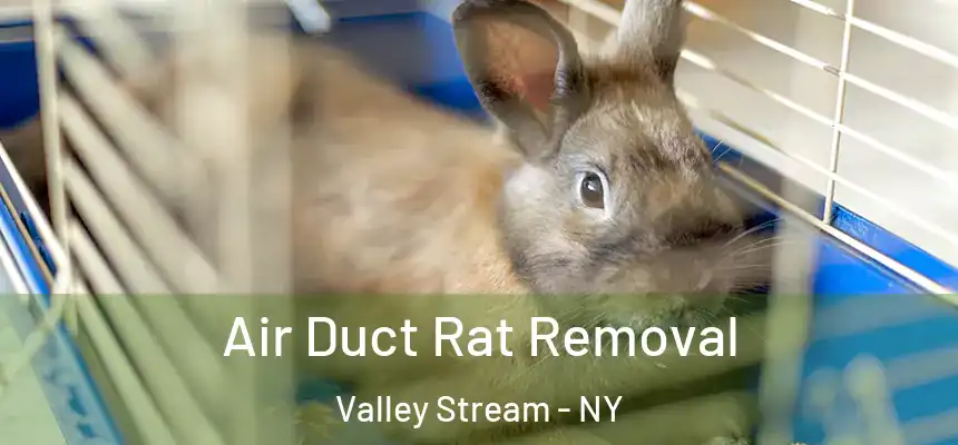  Air Duct Rat Removal Valley Stream - NY
