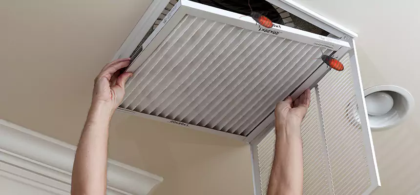 Preventive Cockroach-Proofing for Ducts in Valley Stream