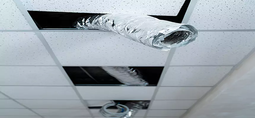 Our Air Duct Pet Hair Removal Services in Valley Stream, NY