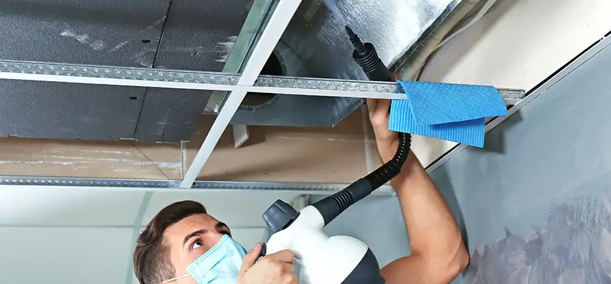 Our Air Duct Rodent Removal Services in Valley Stream, NY