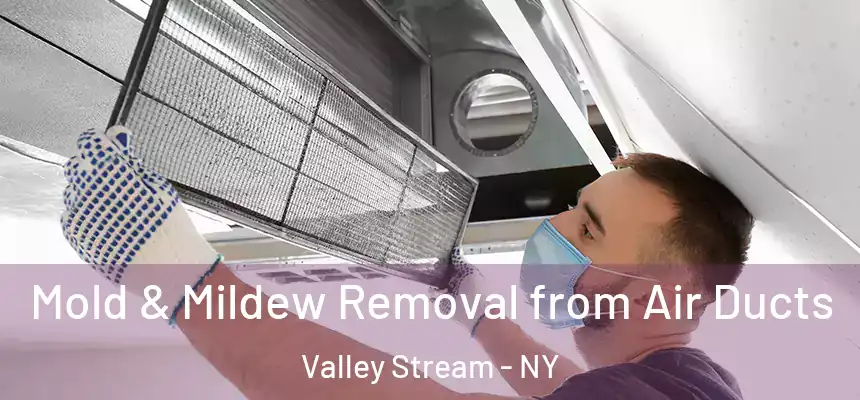  Mold & Mildew Removal from Air Ducts Valley Stream - NY