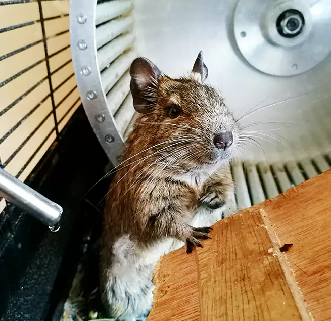 Why Homeowners & Businesses Trust Us Valley Stream, NY?