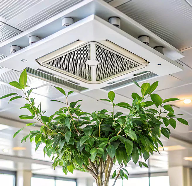 Why Homeowners & Businesses Trust Us in Valley Stream, NY